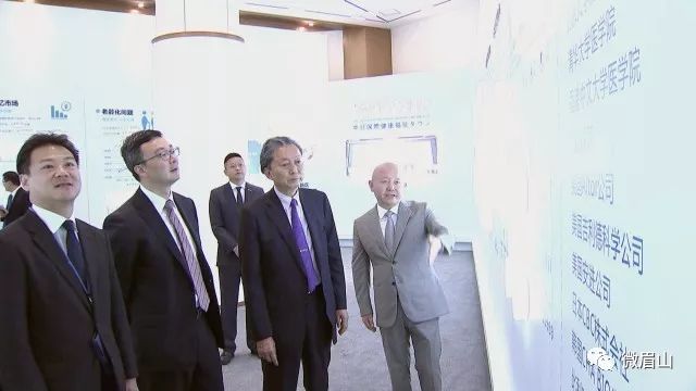 眉山--05 眉山--05