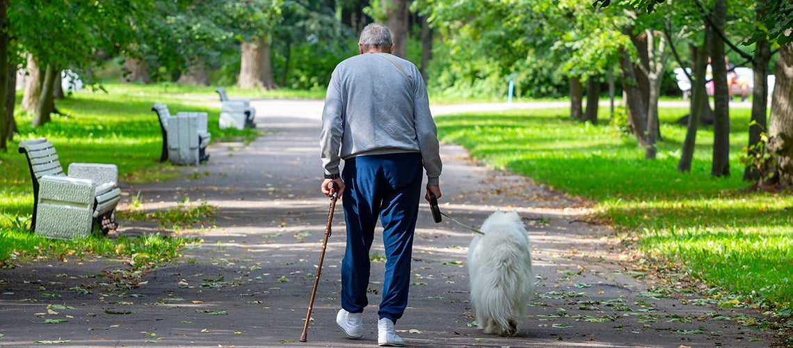 shutterstock_1808227138hero-747