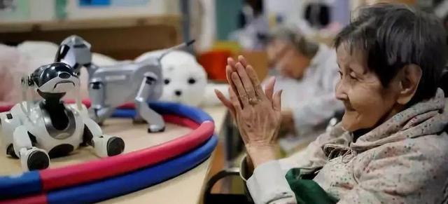 香里园23 香里园23