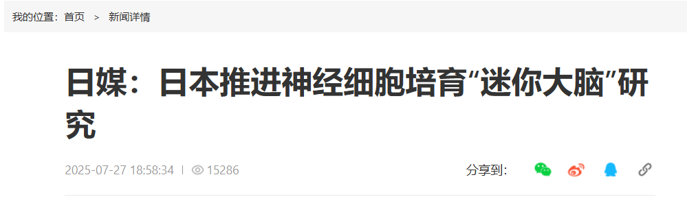 QQ截图20260105025345